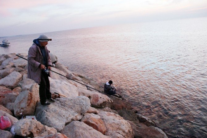 Didim’de Balık Tutkunların Merkezi Taşburun Oldu