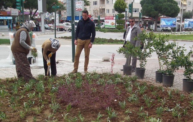 Didim’de Üniversiteliler Parkları Düzenliyor