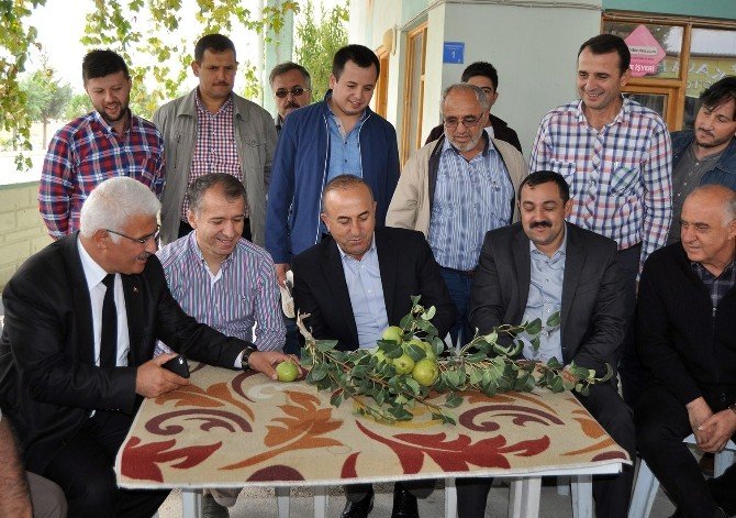 Ak Partili Çavuşoğlu: “Yemde Ve Gübrede Kdv’yi Sıfıra İndireceğiz”