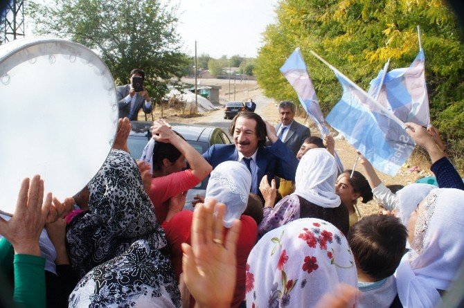 Haşim Haşimi’ye Sevgi Seli