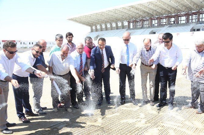 Doğanlar Stadı’nda Tohumlar Atıldı