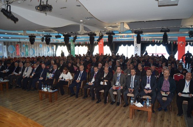 Türkiye’de Yılda 102 Bin Ton Bal Üretiliyor