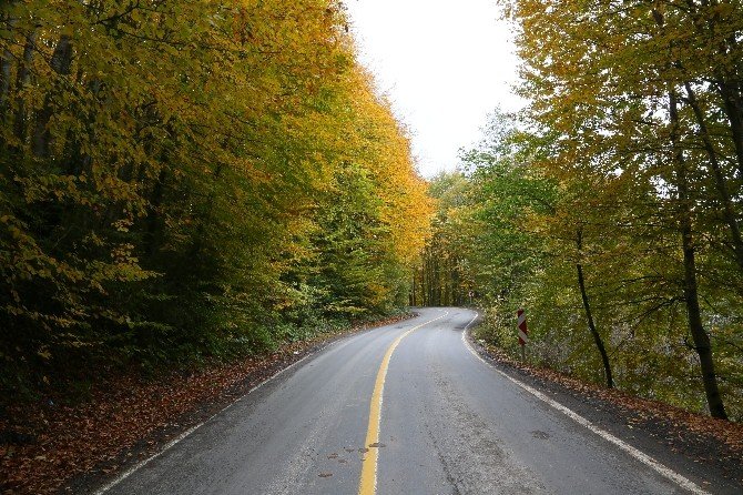 Karadeniz’de Renk Cümbüşü