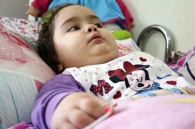 En Acı Doğum Günü