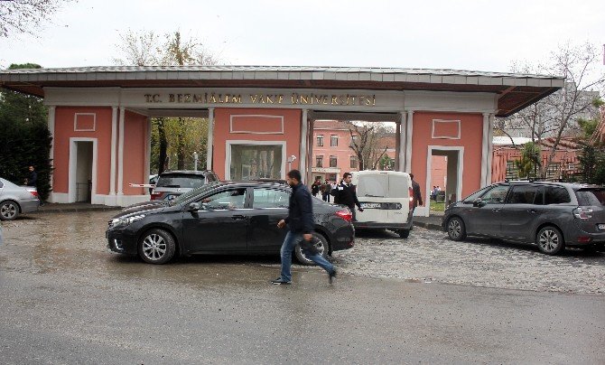 İstanbul’daki Domuz Gribi Şüphesi Asılsız Çıktı