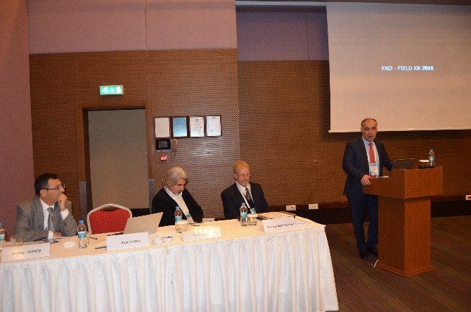 Karadeniz Ülkeleri Deniz Ekosistemi Ve Balıkçılığı İçin Bir Araya Geldi