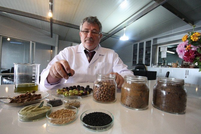 Zeytinin Atık Maddesinden Zeytin Ezmesi Yaptı