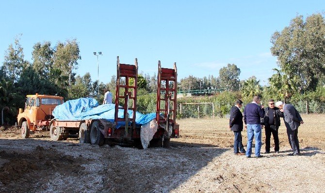 Dünyanın En Büyük İkinci Balinası İskenderun’da Karaya Vurdu