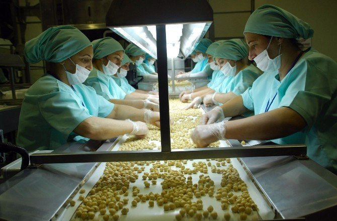 Düzce’de Geçen Yıl 27 Bin 775 Ton İç Fındık, 10 Bin 976 Ton Tavuk Ayağı İhraç Edildi