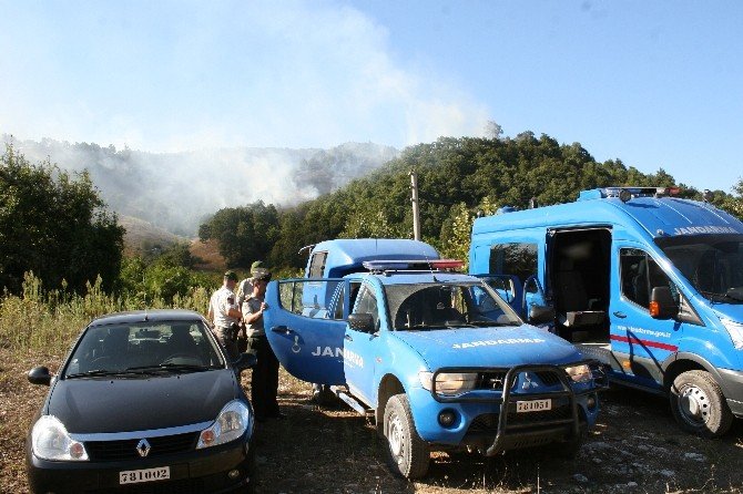 Düzce’de Korkutan Yangın