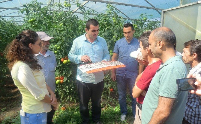 Çiftçiye Tarlada Eğitim