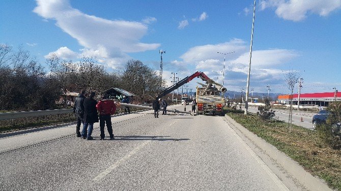 Düzce’de Elektrik Direkleri Devrildi Karayolu Trafiğe Kapandı