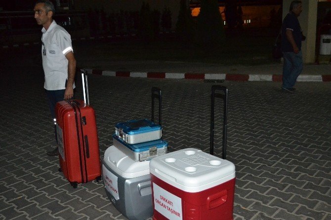 Karaciğeri Umut Olacak