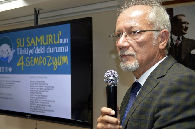 Su Samurları Suyun Kalitesini Gösteriyor