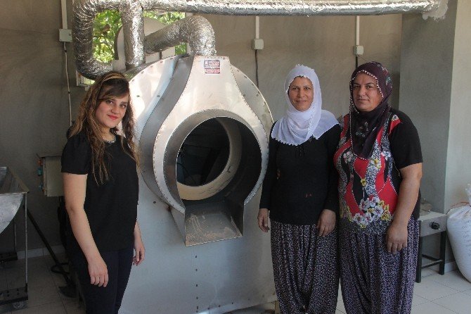 Kadın Patron, 2 Kadın İşçisi İle Birlikte Leblebi Fabrikası Açtı
