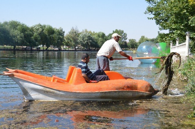 Ceyhan Nehri’ndeki Kirlilik Ortadan Kaldırılıyor