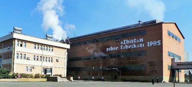 Elbistan’da Şeker Pancarı Kampanya Dönemi 17 Eylül’de Başlıyor