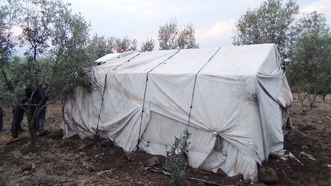 Tarlaya Kurdukları “Kpss Çadırı”nda Sınava Hazırlanıyorlar