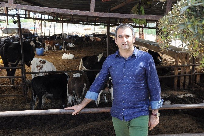 Üretici "Kdv İndirimi" Bekliyor