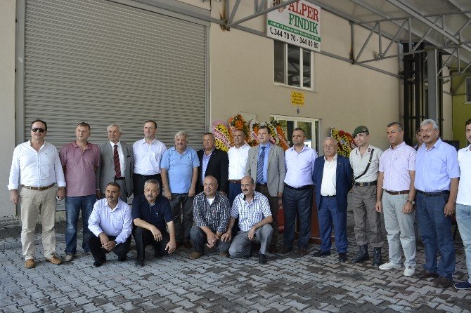 Ereğli’nin İlk Fındık Fabrikası Hizmete Açıldı
