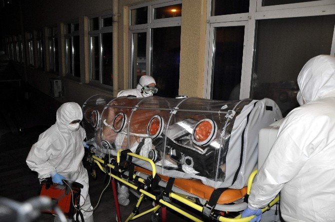 Eskişehir’de Domuz Gribi Şüphesi