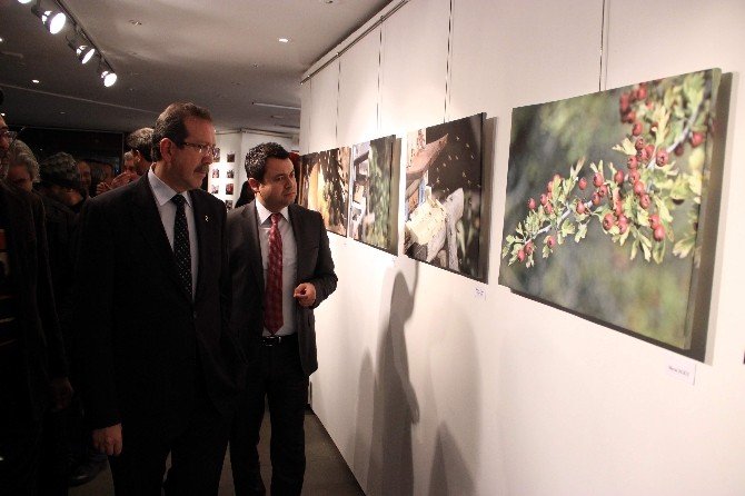 Macın Şenlikleri’nde Çekilen Fotoğraflar Büyük İlgi Gördü