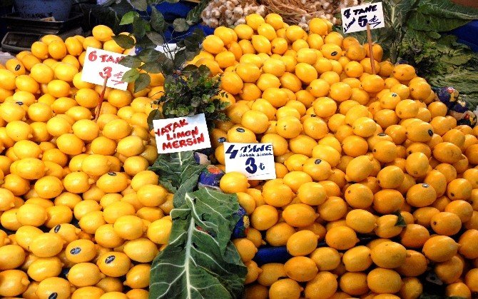 Limonda Don Tehlikesi Esnafı Tedirgin Ediyor