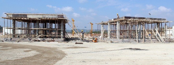 Expo’ya Şakayık Temalı Giriş Kapısı