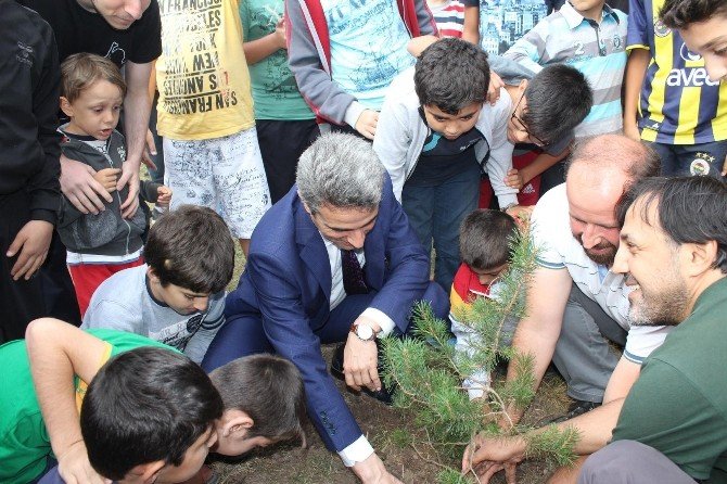 Eyüplü Gençlerden Bolu Kampı’nda Fidan Dikimi