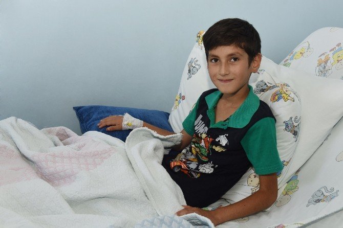 Kabuklarıyla Yenen Çekirdek Ameliyat Sebebi Oldu