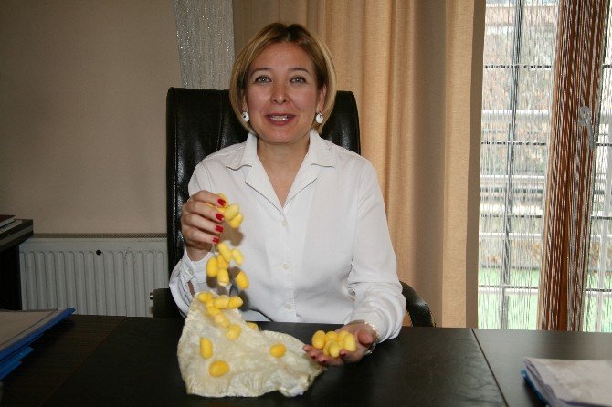 Altın Koza İle Doğal Peeling