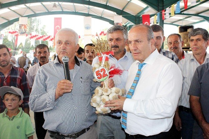 En Güzel Sarımsak Cumhurbaşkanına Hediye Edilecek