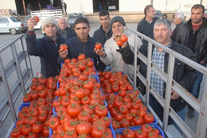 Rusya Almasa Da Domates Fethiye’de Toptan 3 Tl