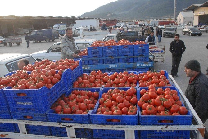 Rusya Almasa Da Domates Fethiye’de Toptan 3 Tl