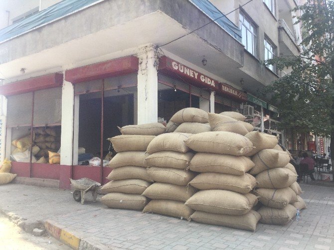 Ünye Ziraat Odası Başkanı Osman Sarıkahraman: