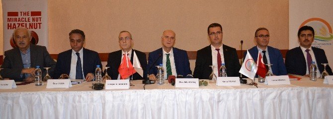 Fındıkta Büyük Başarı