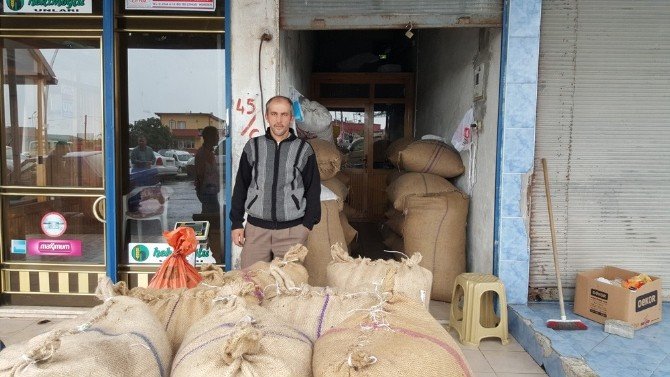 Alaplı’da Fındık Üreticileri Dertli