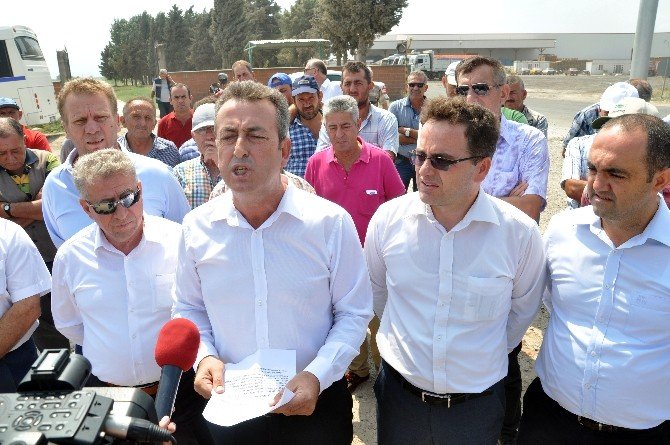 Çiftçi, Yüzde 50 Düşen Domates Fiyatlarına Siyah Çelenkle Tepki Gösterdi