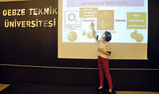 Gebze Teknik Üniversitesi’nden Türkiye’de Bir İlk