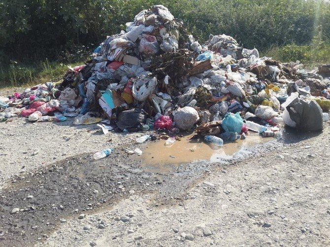 Belediye Sokaktan Topladığı Çöpleri Yine Sokağa Döktü