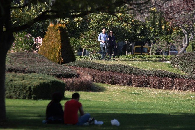 Adana’da Son 66 Yılın En Sıcak Şubatı Yaşanıyor