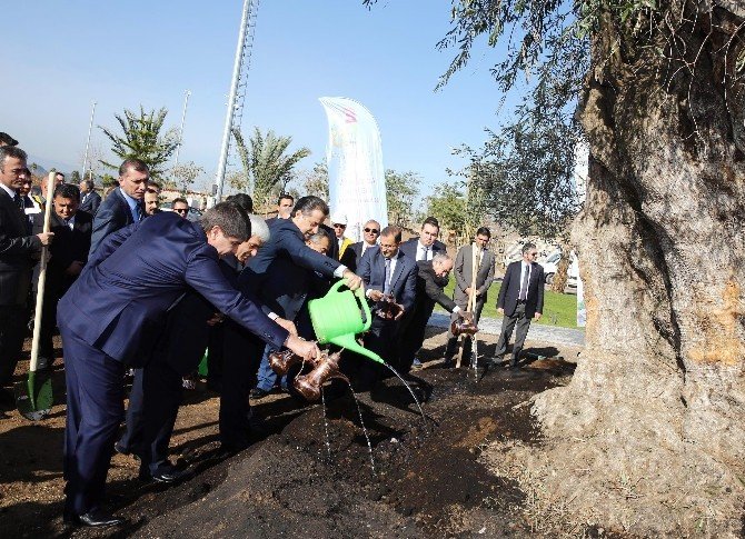 Bakan Faruk Çelik, Expo 2016 Alanına Ağaç Dikti