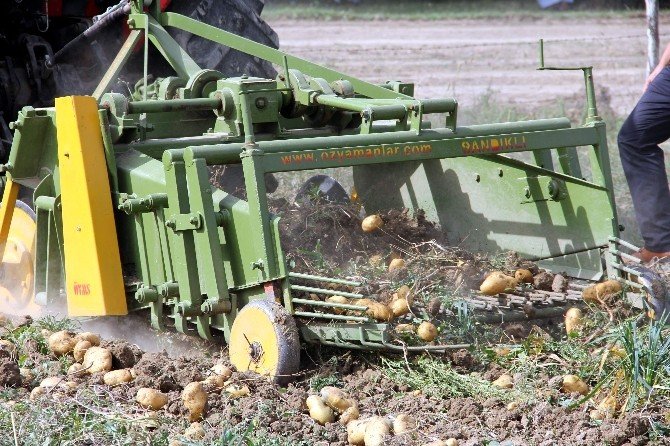 Kastamonu’da Patates Tarla Günü Düzenlendi