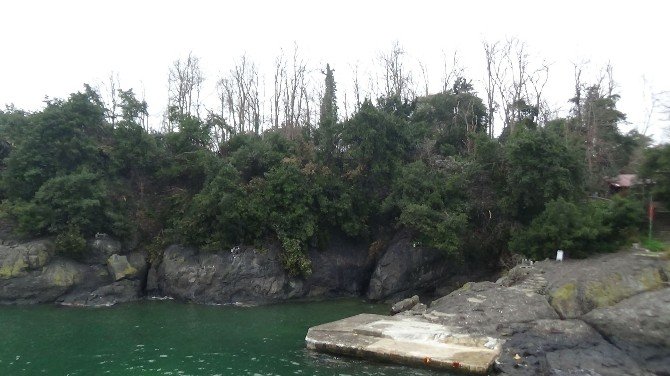 Giresun Adası’na Yüzerek Gidecekler