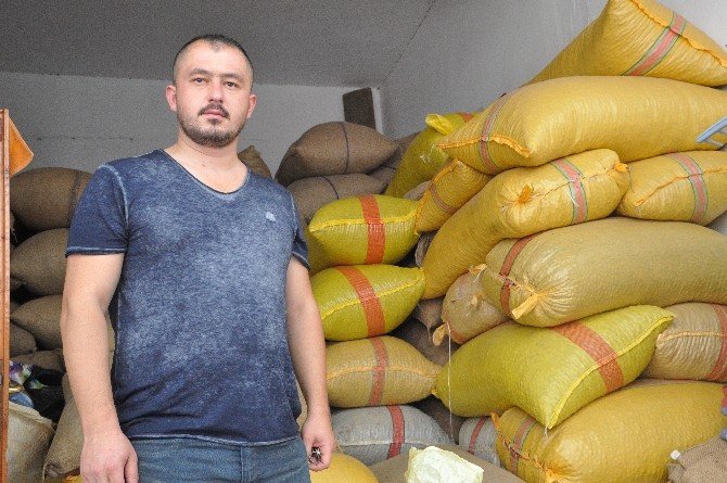 Fındığın Fiyatının Düşük Olmasının Sebebi “Emanete Verilen Fındık”