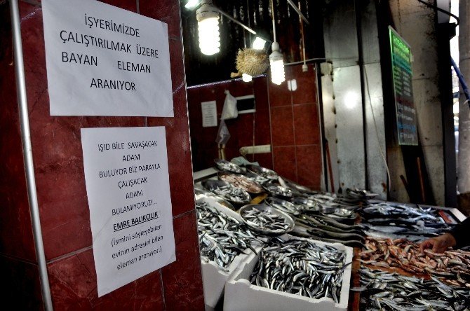 Çalıştıracak Personel Bulamayan Giresunlu Balıkçıdan İlginç İlan