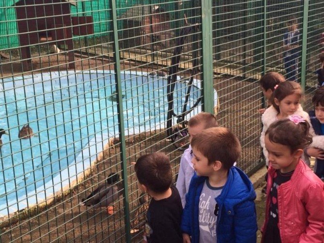 Giresun’da Hayvanat Bahçesi Öğrencilerin İlgisini Çekiyor