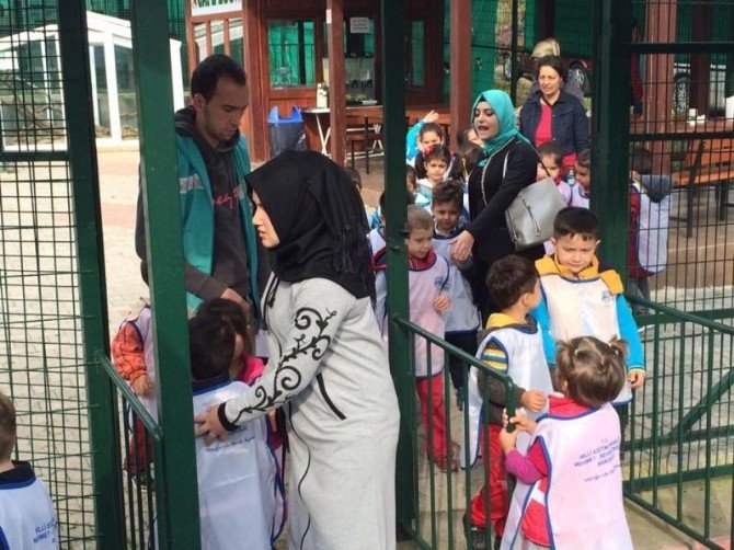 Giresun’da Hayvanat Bahçesi Öğrencilerin İlgisini Çekiyor