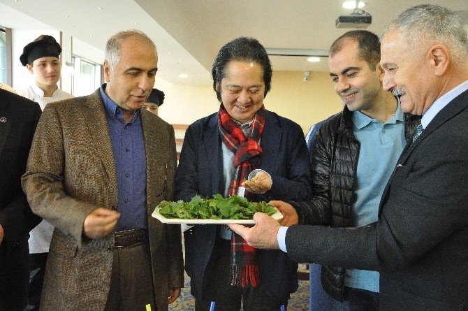 Isırgan Otunu Japonlar’a Tanıttılar