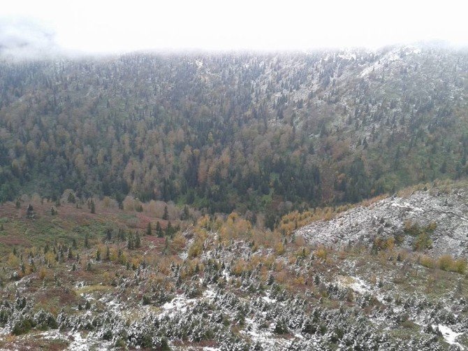 Giresun’da Yaylalar Beyaza Büründü